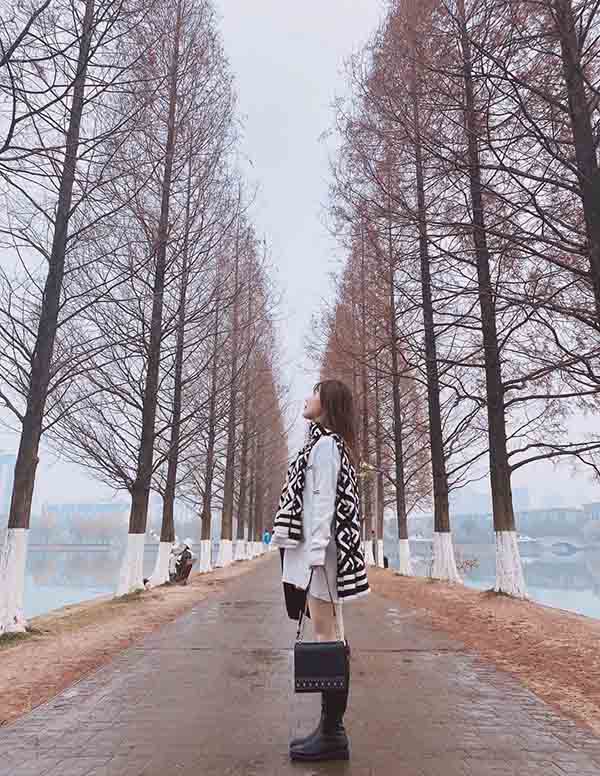 旧金山商务伴游招聘